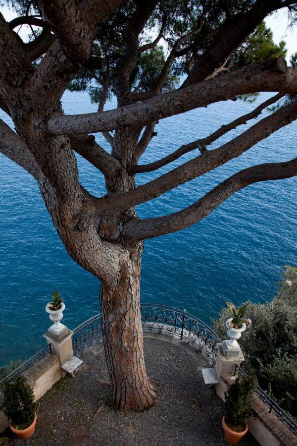 La Cervara Bed & Breakfast Santa Margherita Ligure Dış mekan fotoğraf