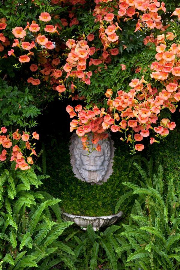 La Cervara Bed & Breakfast Santa Margherita Ligure Dış mekan fotoğraf