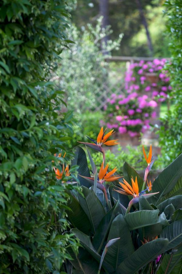 La Cervara Bed & Breakfast Santa Margherita Ligure Dış mekan fotoğraf